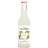 Monin Sirup Cocos 250ML 1 Monin Sirup Cocos 250ML -Lebensmittelgeschäft monin sirup kokosnuss 025l